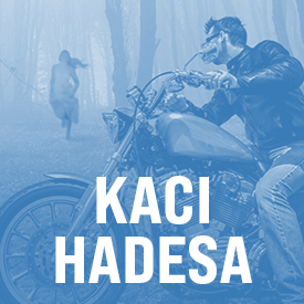 Logo serii Kaci Hadesa