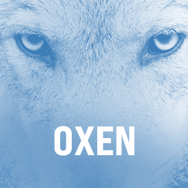 Logo serii Oxen 